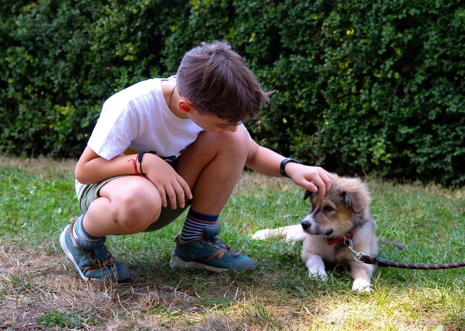 [ad_1] Titlu principal: Ultimul târg de adopții în aer liber din acest an: Oportunitatea perfectă de a găsi un patruped de companie la Hornback Balotești Subtitluri și secțiuni: Eveniment de adopție canină în aer liber, organizat de ASPA București Vineri, 25 octombrie, în parcarea magazinului Hornback Balotești, iubitorii de animale sunt invitați la cel mai important eveniment al anului dedicat adopției