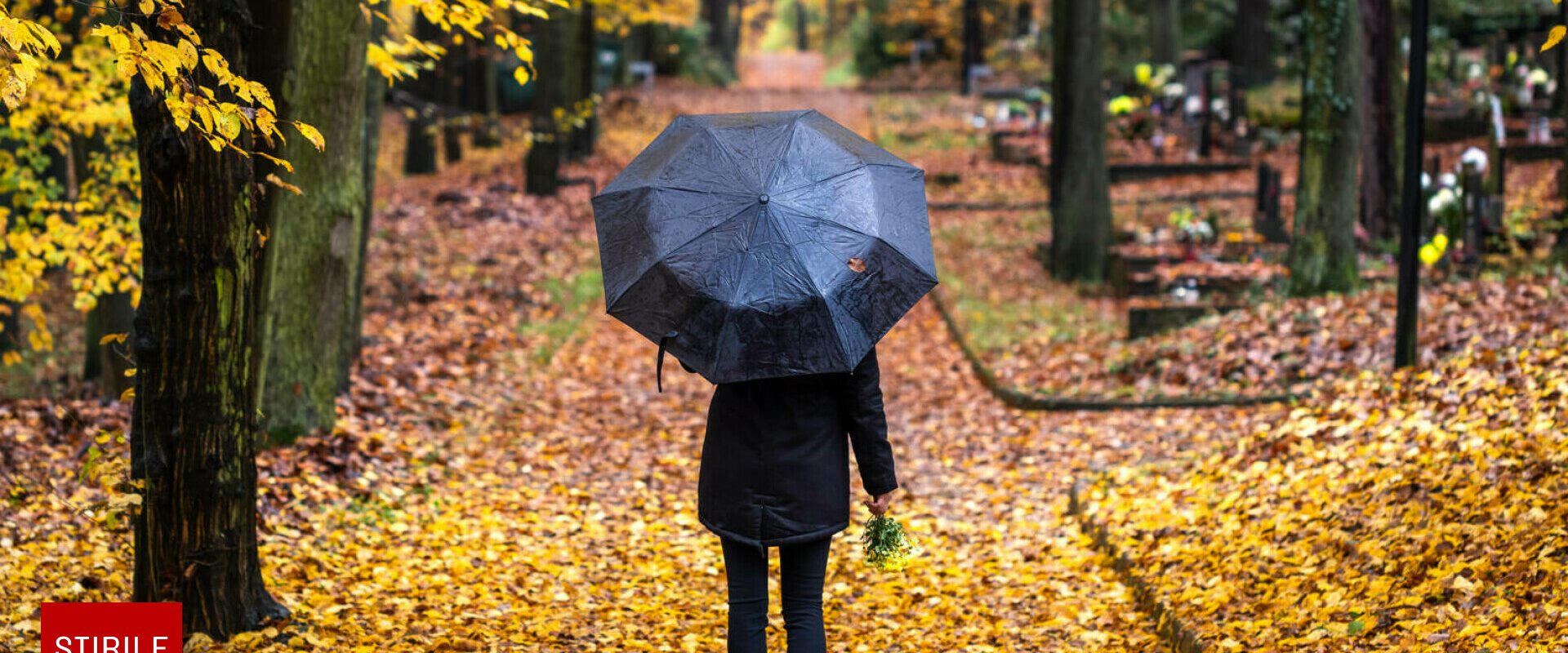 Profețiile meteorologilor: vremea din noiembrie 2025 în întreaga Românie se va încălzi.