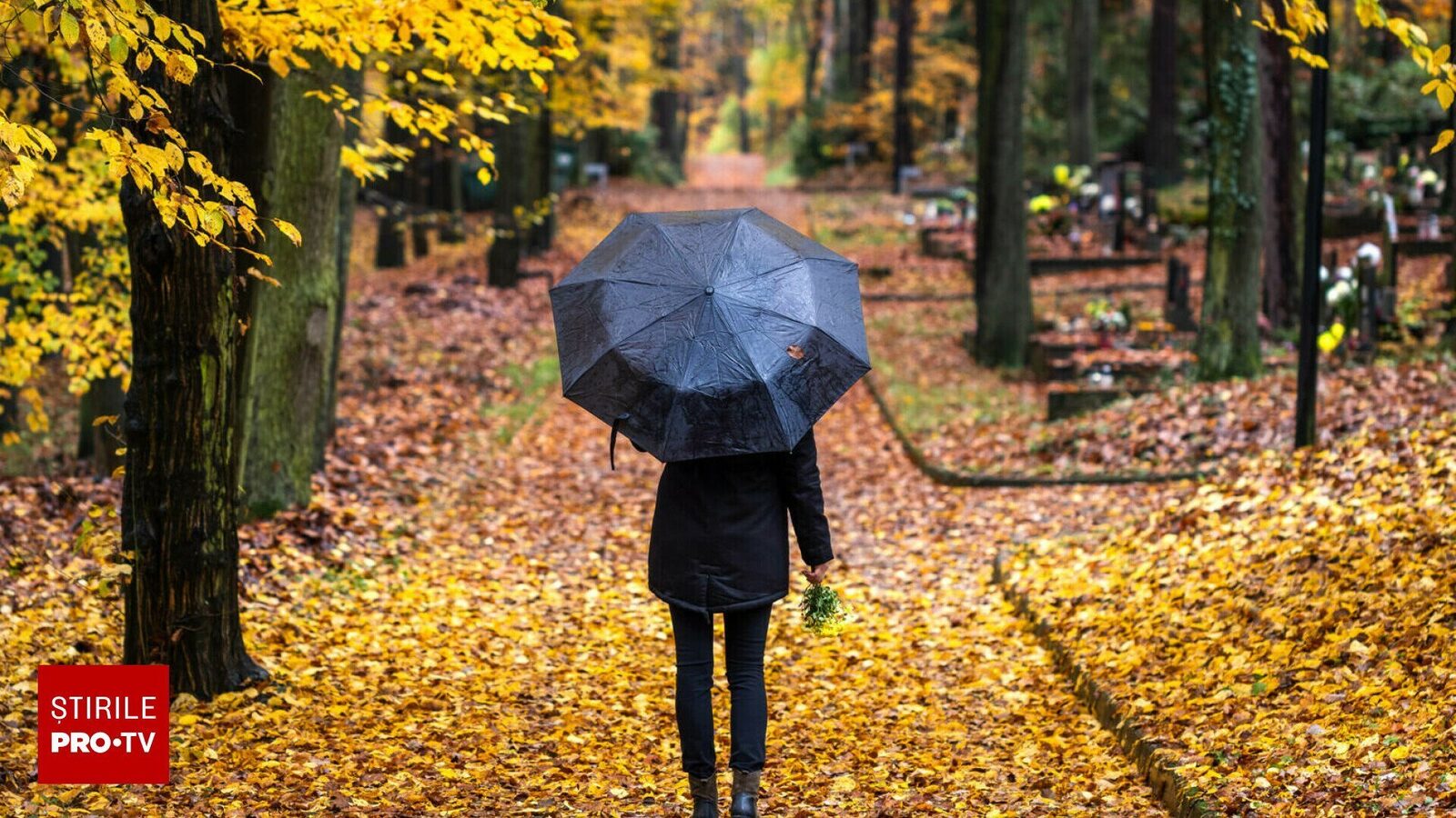 Profețiile meteorologilor: vremea din noiembrie 2025 în întreaga Românie se va încălzi.