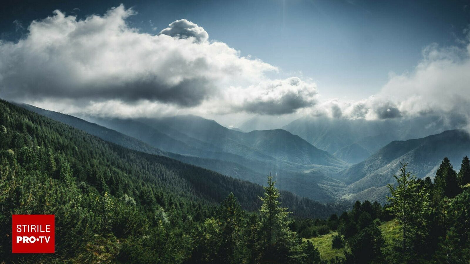 Statul protejează doar 1,6% din terenul forestier al țării, în timp ce primarii afirmă că populația încă se bazează pe lemn