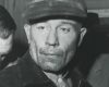 86521907007-ed-gein-butcher-of-plainfield-netflix.jpg