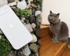 Apple-iPhone-Air-Intro-scaled.jpg