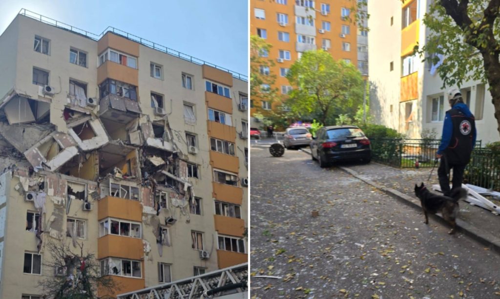 Cainii-de-salvare-Clubul-Cainilor-Utilitari.jpg