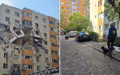 Cainii-de-salvare-Clubul-Cainilor-Utilitari.jpg