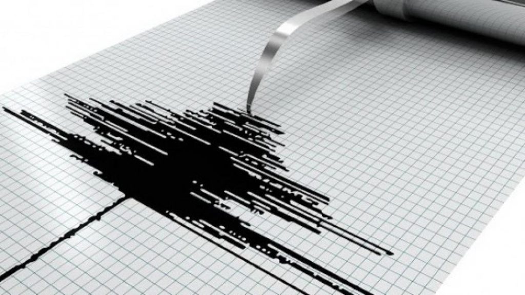 Cutremur în Vrancea. Ce magnitudine a avut seismul