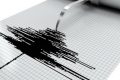 Cutremur în Vrancea. Ce magnitudine a avut seismul