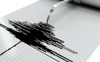 Cutremur în Vrancea. Ce magnitudine a avut seismul