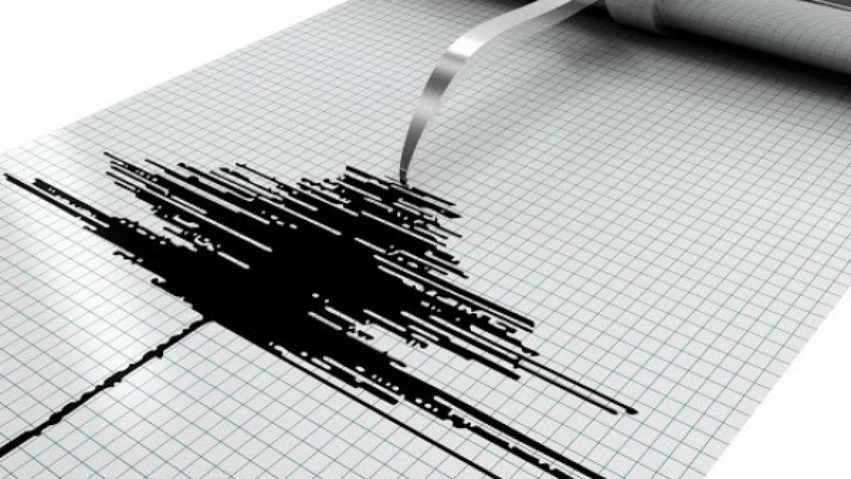 Cutremur în Vrancea. Ce magnitudine a avut seismul