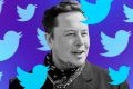 Elon-Musk-Twitter.jpg