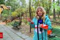 Vreme extremă în aproape toată țara. Cod roșu de ploi, vijelii periculoase și ninsori. ”Anotimpul s-a schimbat peste noapte”