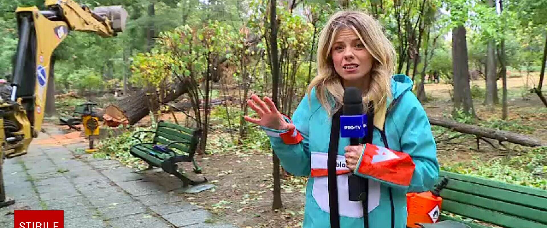 Vreme extremă în aproape toată țara. Cod roșu de ploi, vijelii periculoase și ninsori. ”Anotimpul s-a schimbat peste noapte”