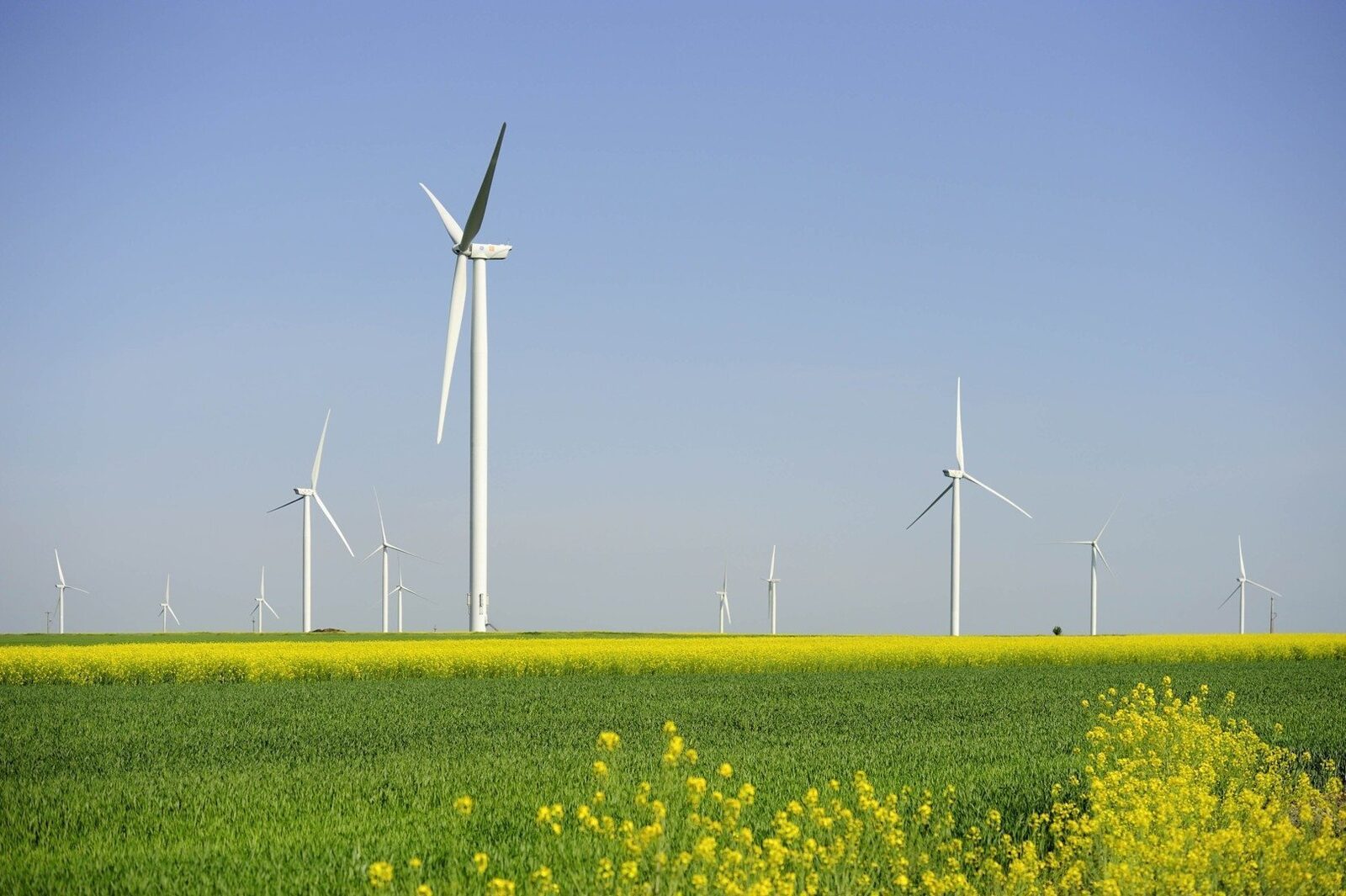 [ad_1] Energia regenerabilă a depăşit pentru prima dată utilizarea combustibililor fosili, cum este cărbunele, ca principală sursă de electricitate la nivel global