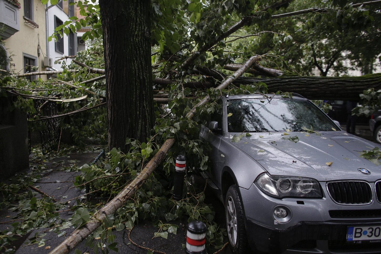 Rigurozitate în București: Ghid pentru intervenția în cazul în care un copac doboară pe autoturismul tău în timpul unei furtuni