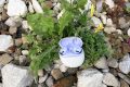 IMG_0328-scaled.jpeg