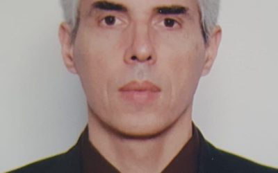 Între guvernare și opoziție: cetățeanul integru/STRUCTURA UNEI DEMOCRAȚII DEFECTUOASE –