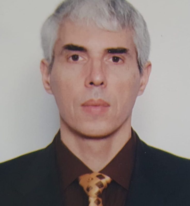 Între guvernare și opoziție: cetățeanul integru/STRUCTURA UNEI DEMOCRAȚII DEFECTUOASE –