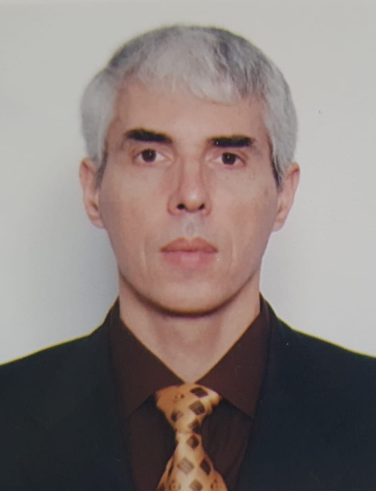 Între guvernare și opoziție: cetățeanul integru/STRUCTURA UNEI DEMOCRAȚII DEFECTUOASE –