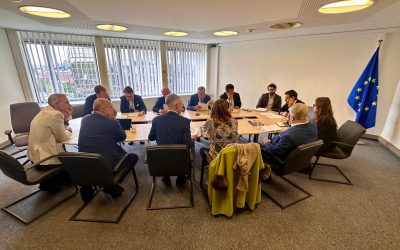 Nica declara: Importurile de otel din afara Uniunii Europene vor