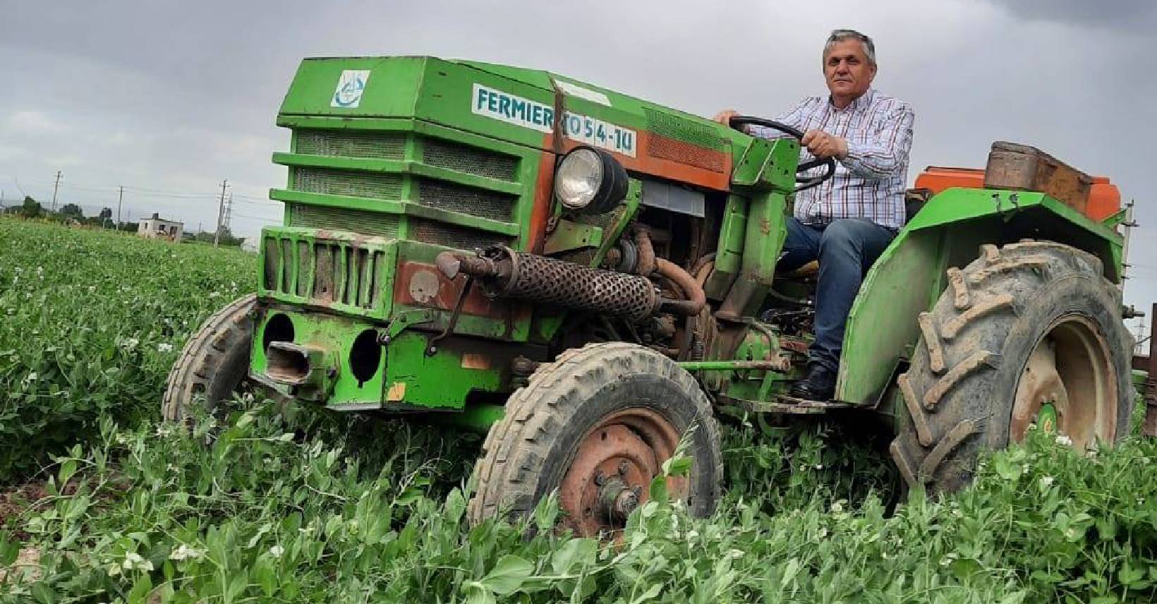 Care este amploarea patrimoniului vegetal al României? Expert în genetică vegetală, Costel Vînătoru, afirmă că au fost conservate peste 20.000 de varietăți românești, inclusiv cantități semnificative de semințe vechi, unele datează din 1653