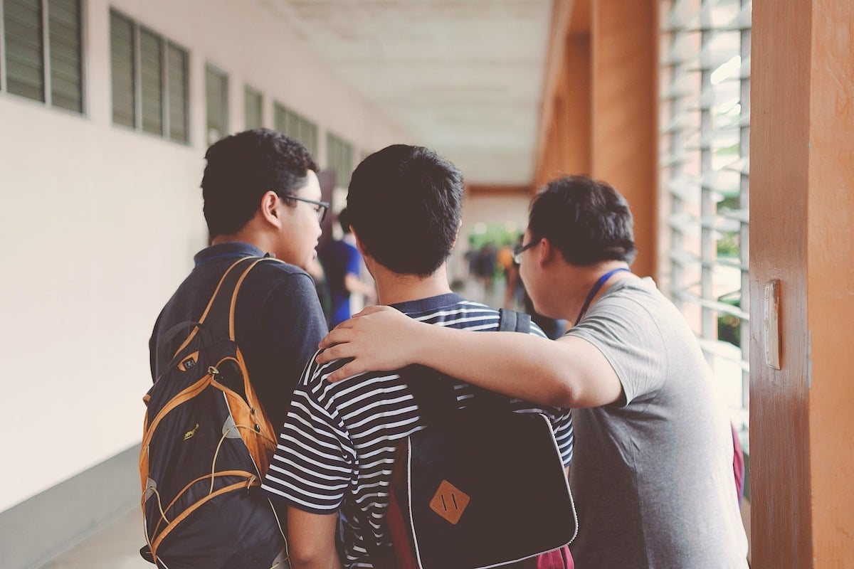 Burse speciale acordate studenților de la Universitatea Transilvania, în valoare de la 500 la 10.000 de lei / Valoarea burselor de performanță și sociale va rămâne neschimbată