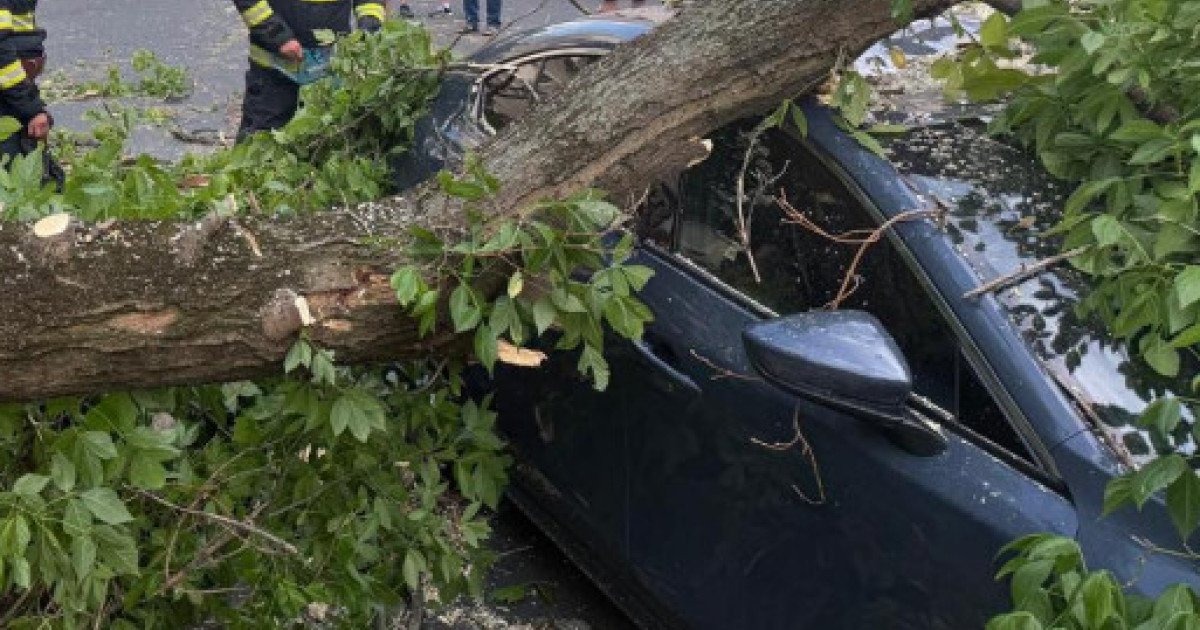 Vijelia din București a făcut prăpăd. Pompierii au fost chemați să intervină de 350 de ori