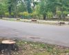 Vlad Gheorghe comunică intenția sa de a iniția procedura penală