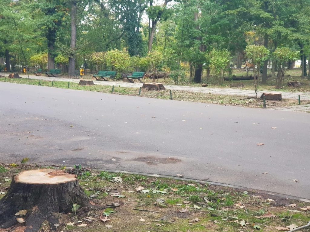 Vlad Gheorghe comunică intenția sa de a iniția procedura penală