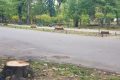 Vlad Gheorghe comunică intenția sa de a iniția procedura penală