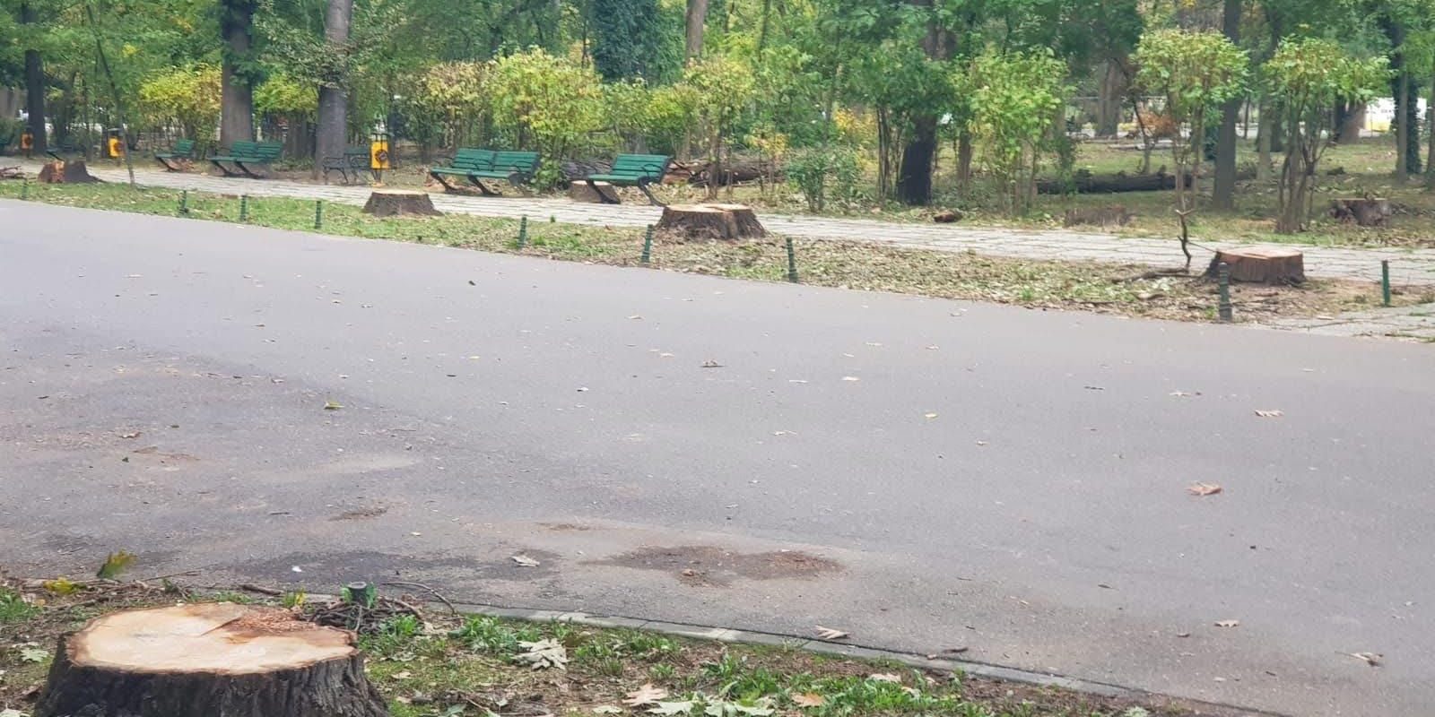 Vlad Gheorghe comunică intenția sa de a iniția procedura penală