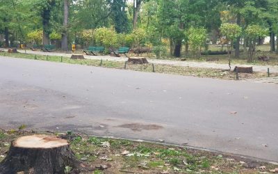 Vlad Gheorghe comunică intenția sa de a iniția procedura penală