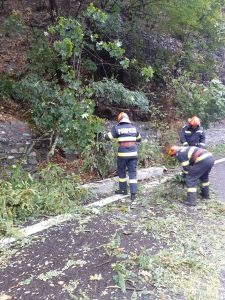 [ad_1] Drumurile de acces în Parcul Național Retezat sunt zone blocate, în anumite locuri, datorită copacilor căzuți din cauza ninsorii din ultimele zile