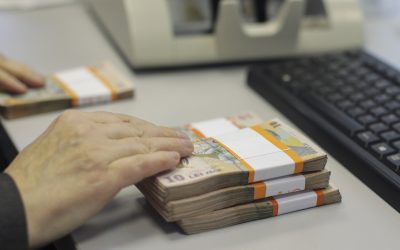 bani-lei-bancnote-cash-numerar-Sursa-foto-Inquam-Photos-Octav-Ganea-8.jpg
