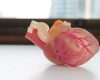 bioprintare-3D.jpg