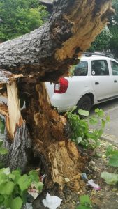 [ad_1] Meteorologii au emis pentru dimineața de vineri un avertisment de cod portocaliu pentru vânt intens în București