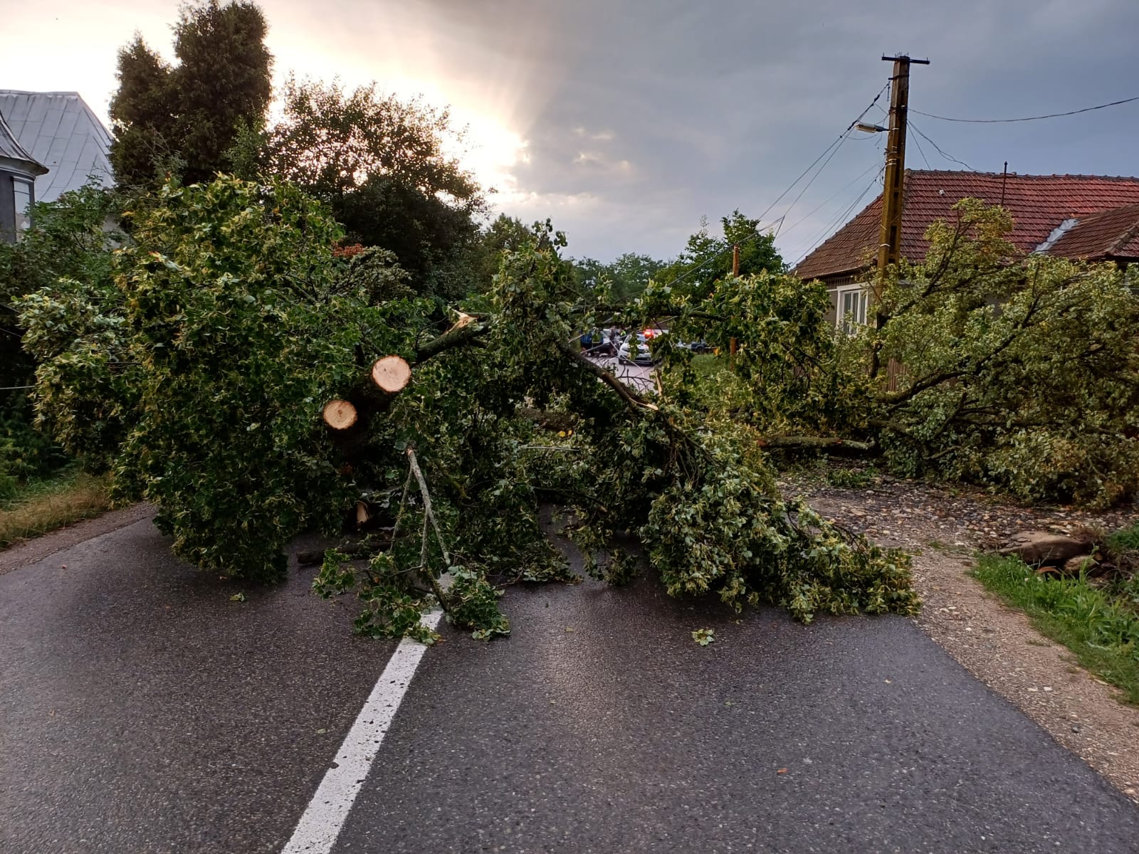 [ad_1] Autoritățile din București intervin joi seară pentru a elimina copaci sau componente de construcție aflate pe cale să cadă din cauza condițiilor meteorologice, potrivit News.ro