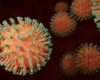 coronavirus-g9fa5653b5_1280.jpg