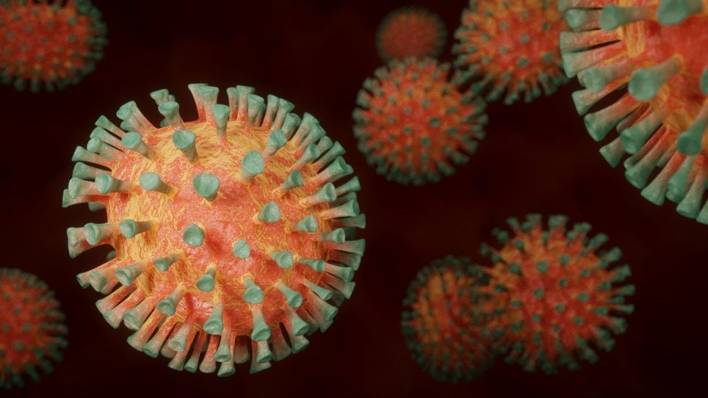 coronavirus-g9fa5653b5_1280.jpg