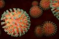 coronavirus-g9fa5653b5_1280.jpg