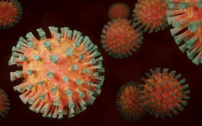 coronavirus-g9fa5653b5_1280.jpg