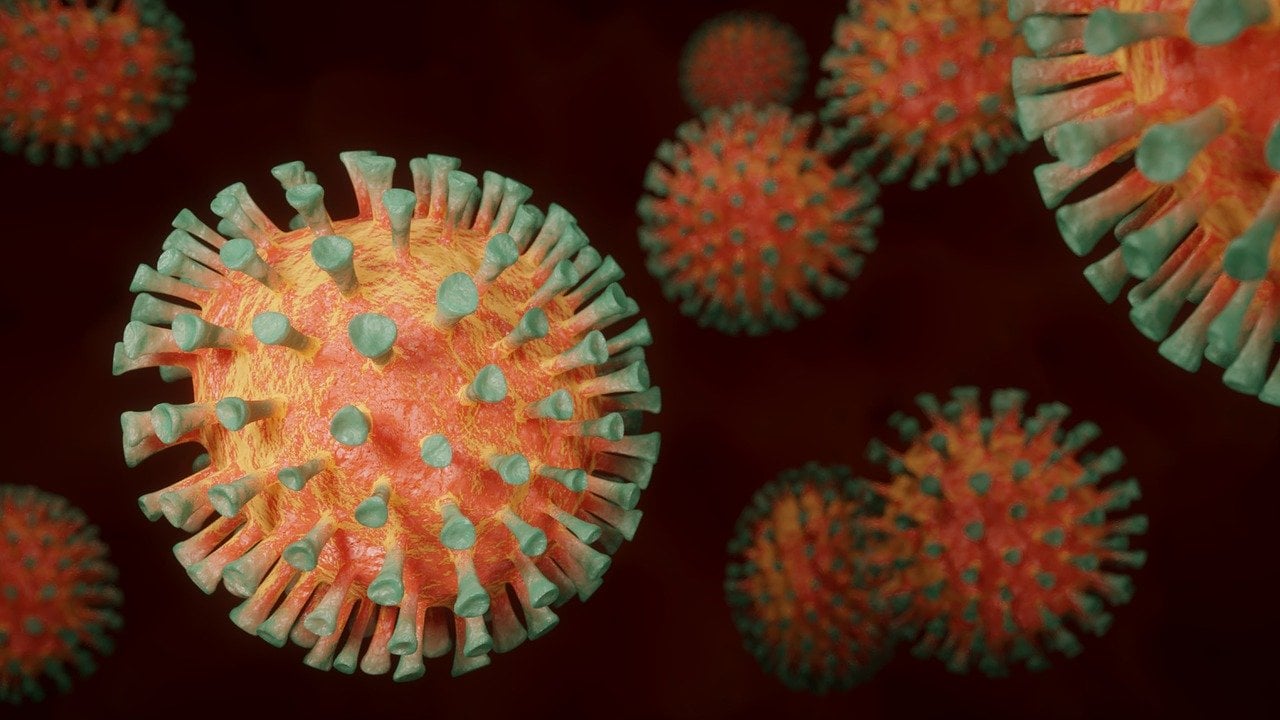 coronavirus-g9fa5653b5_1280.jpg