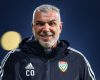 cosmin-olaroiu.jpg