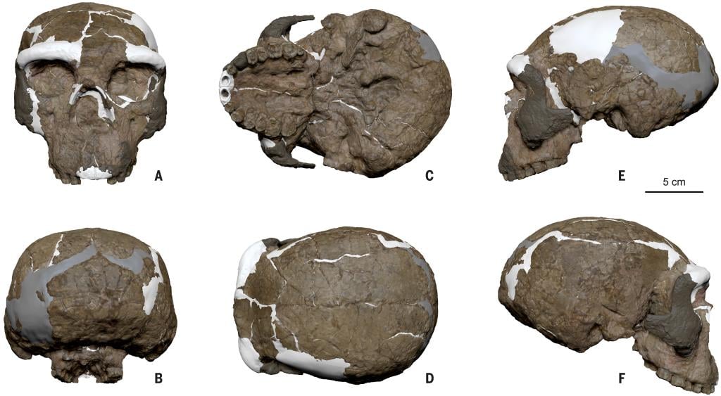 [ad_1] Un craniu vechi de aproximativ un milion de ani, descoperit în China, poate schimba înțelegera asupra originii umane, conform unei reperețări tridimensionale realizate pentru un fosil