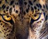 dustin-humes-RgKsNlZJH8s-unsplash-e1709466183499.jpg