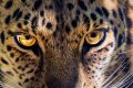 dustin-humes-RgKsNlZJH8s-unsplash-e1709466183499.jpg
