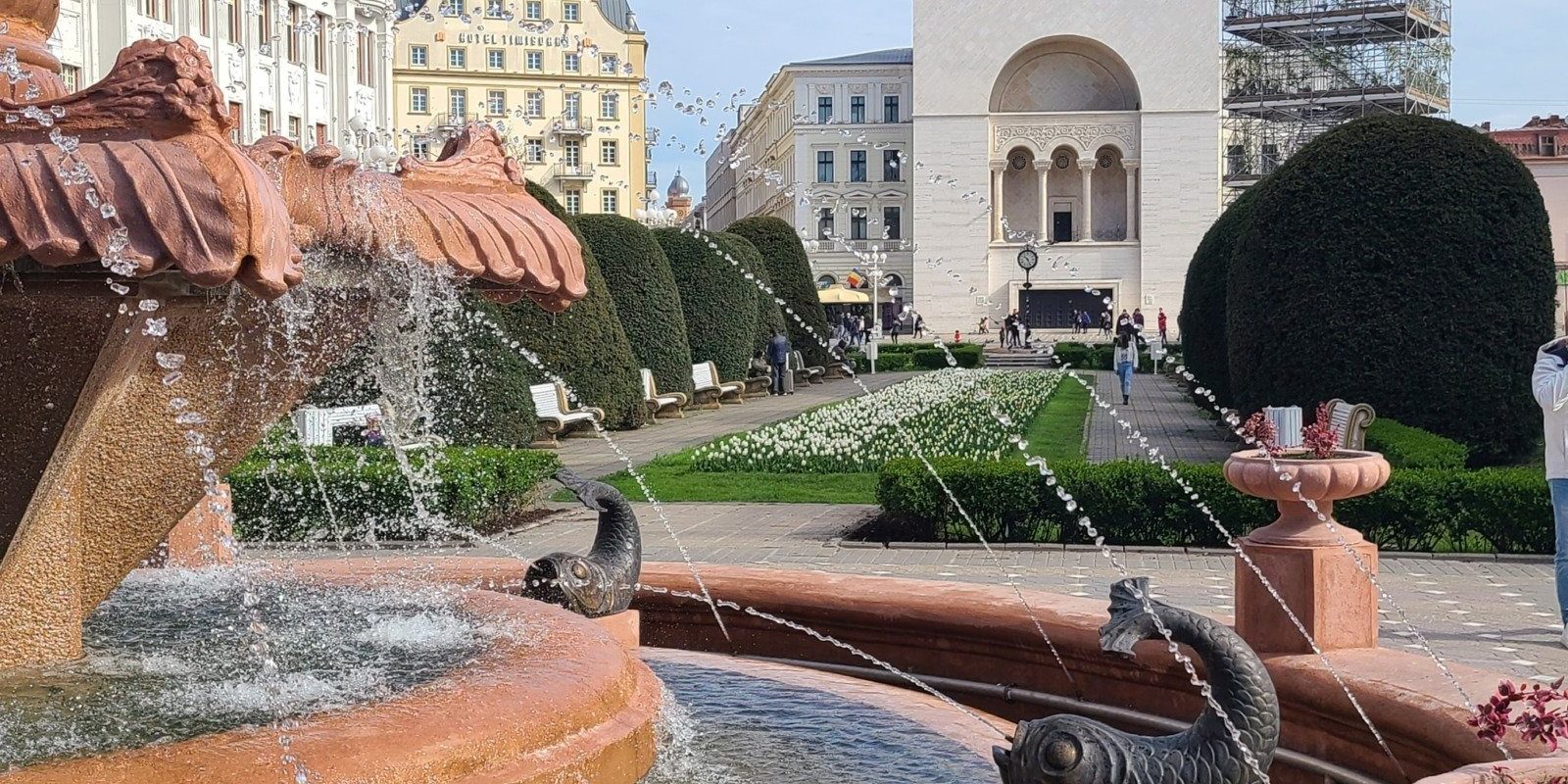 [ad_1] Primăria Timișoara a demarat un proiect experimental pentru amenajarea ecologică a spațiilor verzi de pe Bulevardul Liviu Rebreanu, una dintre cele mai aglomerate artere ale orașului, informează o agenție de presă citată de Radio Timișoara