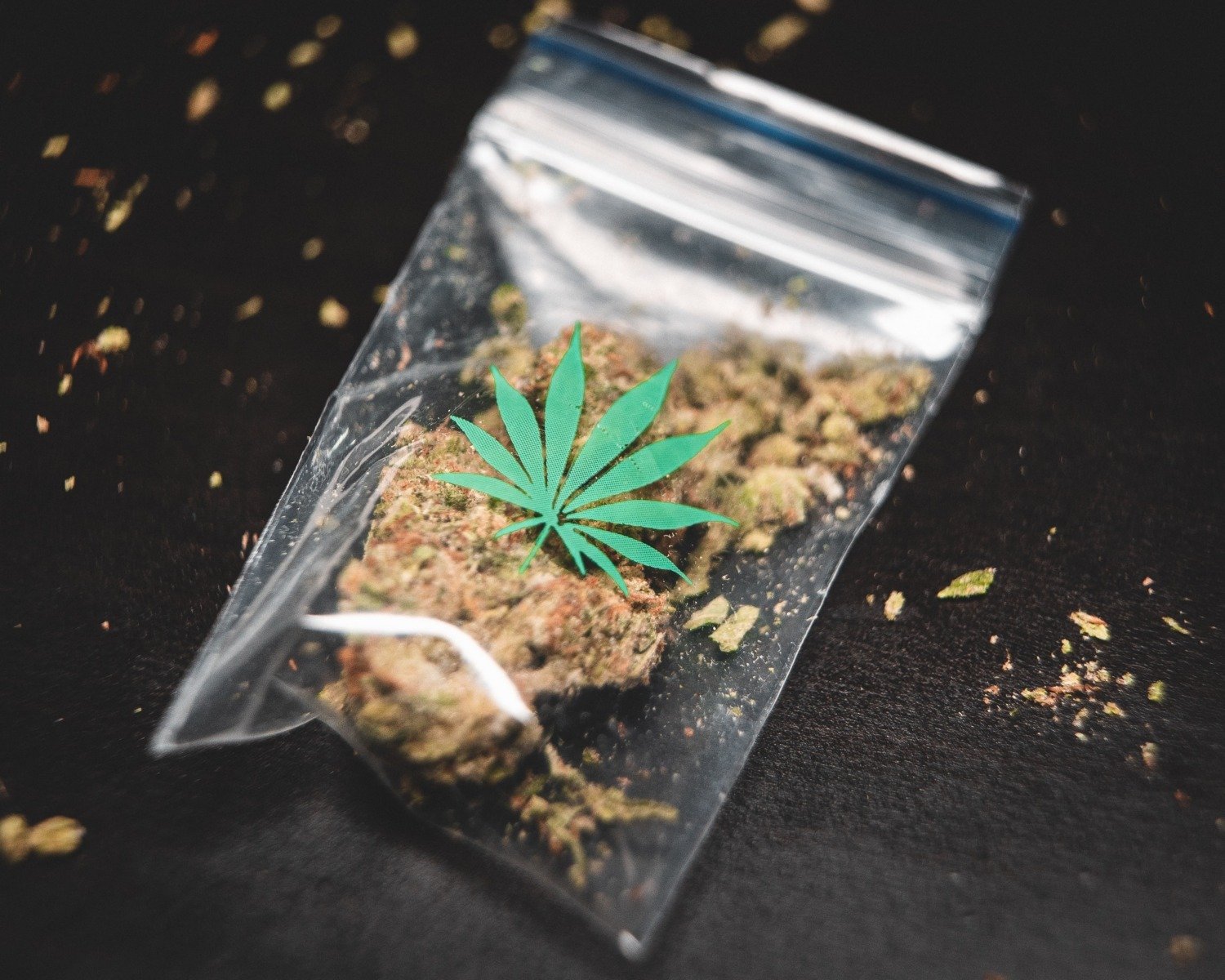 Antreprenorul din Detroit, fondatorul companiei Leaf and Bud specializată în canabis, desemnat de Donald Trump ca reprezentant special în Irak