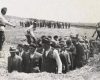 holocaust-in-romania-evrei-executati-sumar-.jpg