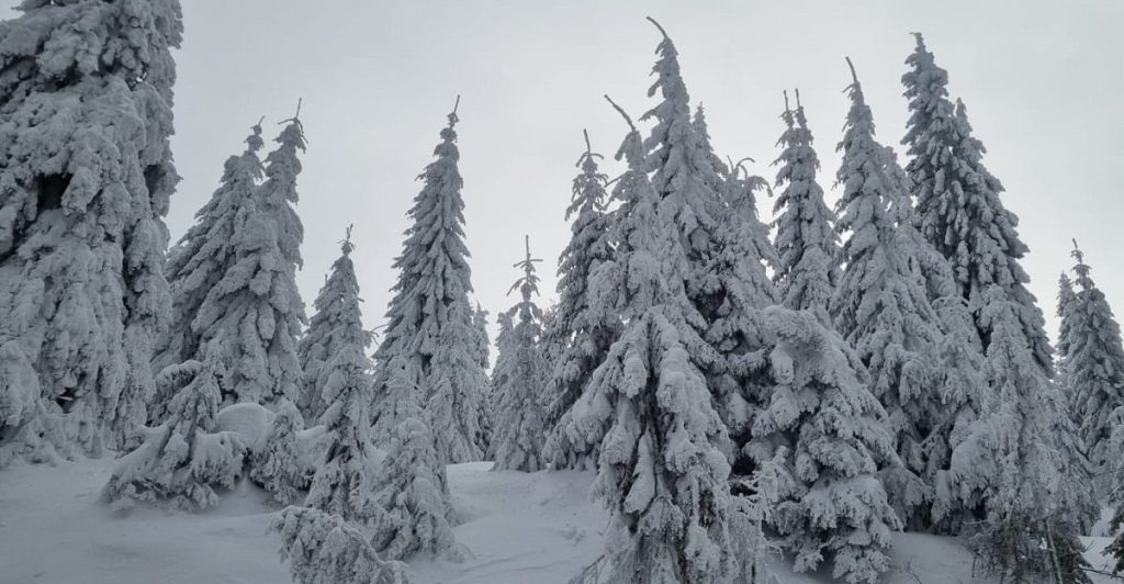 iarna7.jpg