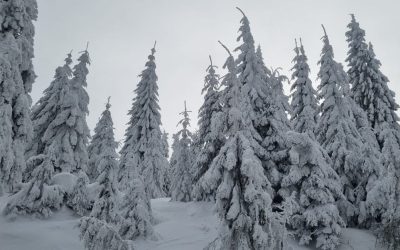 iarna7.jpg
