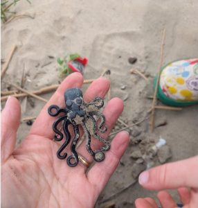 [ad_1] Ce a început ca o pasiune familială pentru explorarea plajelor s-a transformat într-o misiune internațională de localizare a pieselor Lego pierdute în mare și de creștere a conștientizării despre poluarea cu plastic, relatează BBC